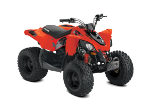 Can-Am DS 90 STD